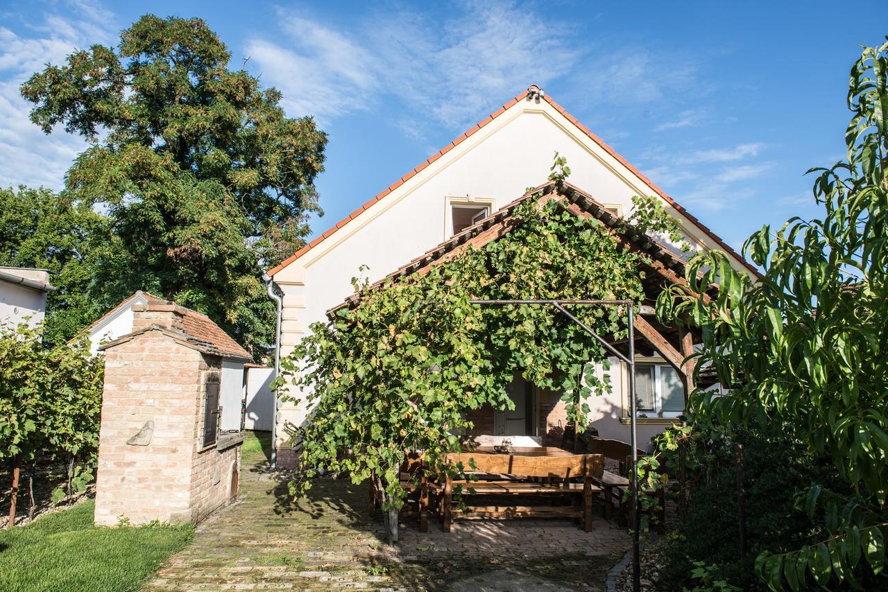 Penzion Monika Hrusovany nad Jevisovkou Exterior photo