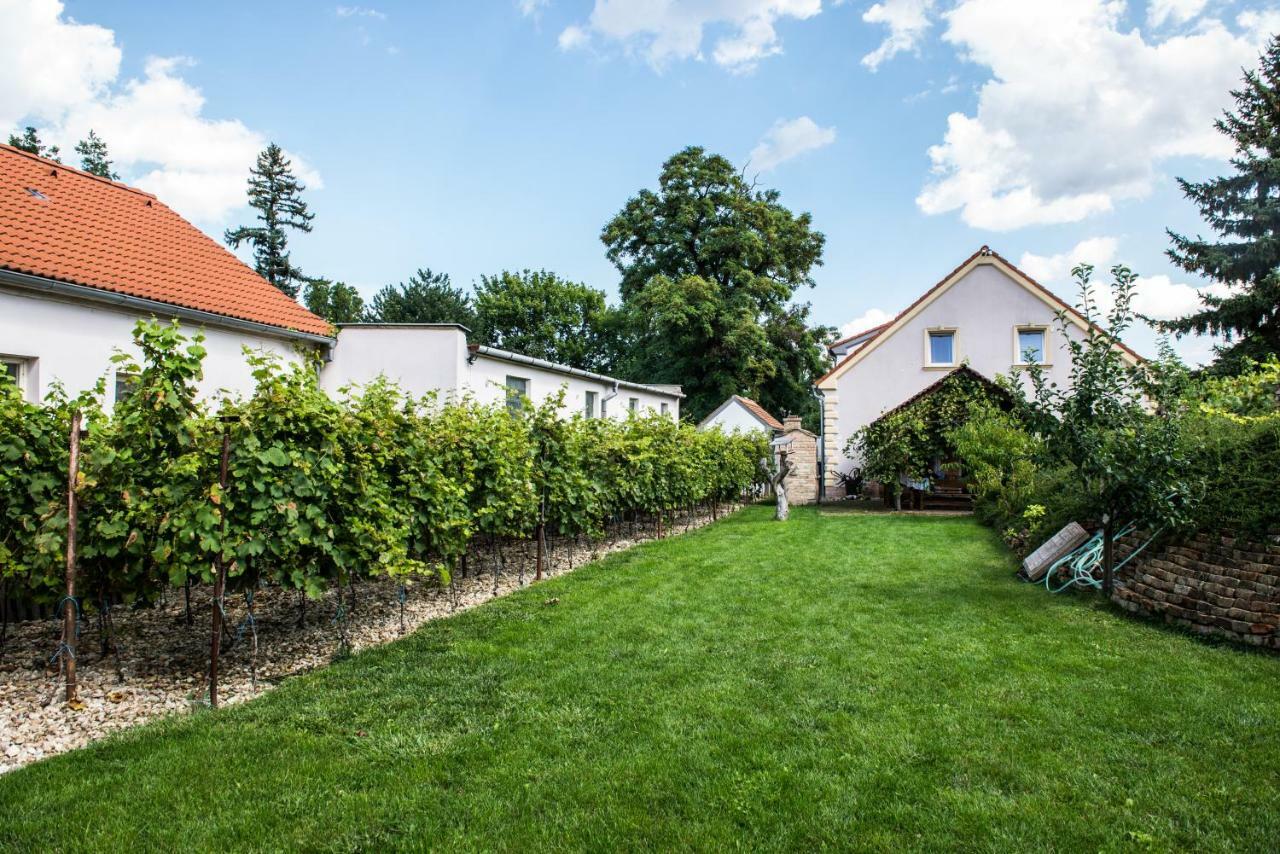 Penzion Monika Hrusovany nad Jevisovkou Exterior photo